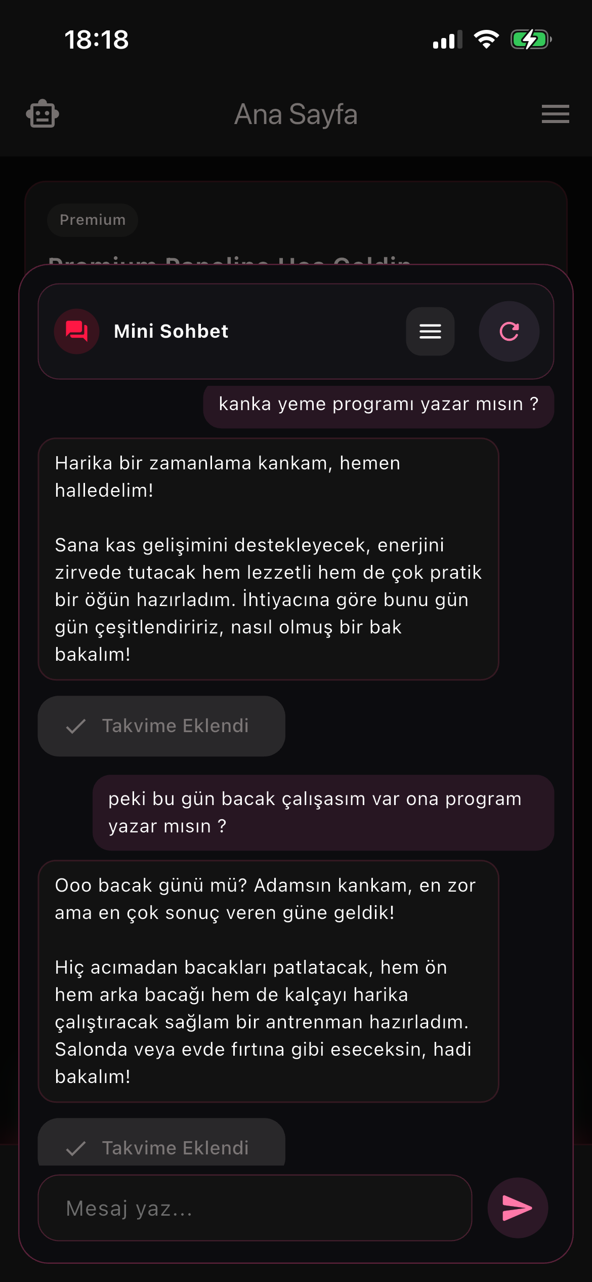 FitAndEat Mini Chat koç ekranı